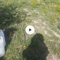 باغ-به-متراژ-1000متر-جلفا-روستای-سیلگرد-حیدر-اباد