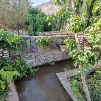 کارگر اتباع همراه با غذا و جای خواب