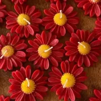 شمع های حنابندون و گیفت عروسی و تولد و...