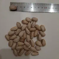 پسته عباسعلی دامغان