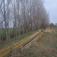 سه نوبر قلمه ۷ساله