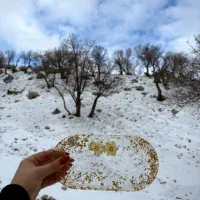 ظروف رزینی|ظروف سرو و پذیرایی|تهران, کوثر|دیوار