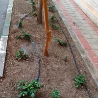 آبیاری قطره ای و فضای سبز روف گاردن|خدمات باغبانی و درختکاری|قم, شهرک قدس|دیوار