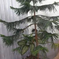 گل مطبق آپارتمانی7طبقه