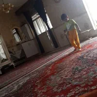 فرش ۱۲متری مشهد|فرش|مشهد, فرخد|دیوار