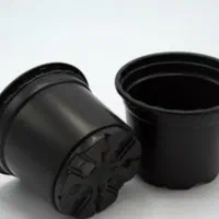 گلدان ژله ای سایز 12