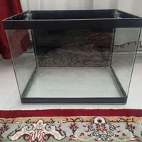 آکواریوم شیشه خم