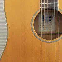 گیتار تنگلوود tanglewood|گیتار، بیس، امپلیفایر|تبریز, |دیوار