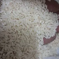 برنج هاشمی محلی|خوردنی و آشامیدنی|پاکدشت, شهرک امام رضا|دیوار