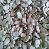 باقلا شاخ بزی درجه یک کیلو ۱۴۰