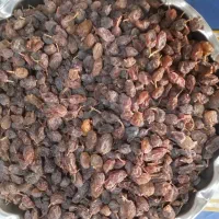 کشمش آفتابی 225|خوردنی و آشامیدنی|ملایر, |دیوار