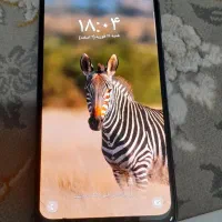 گوشی|موبایل|کامیاران, |دیوار