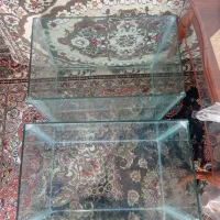 اکواریوم ماهی|ماهی|تربتحیدریه, سرمحله|دیوار