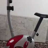 دو چرخه ورزشی ثابت|تجهیزات ورزشی|جهرم, |دیوار