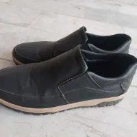 کفش نو|کیف، کفش، کمربند|شیروان (خراسان), |دیوار