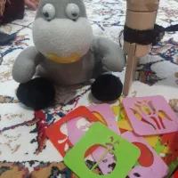 اسباب بازی وبیشکه|اسباب‌بازی بچه|مریوان, |دیوار