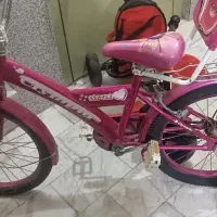 دو چرخه سایز20 و سه چرخه|دوچرخه، اسکیت، اسکوتر|نسیم‌شهر, |دیوار