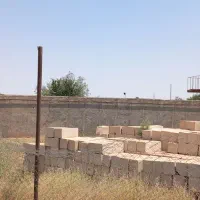 زمین-مناسب-گاوداری