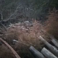 فروشی|مصالح و تجهیزات ساختمان|گالیکش, |دیوار