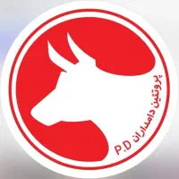 صندوق‌دار خانم