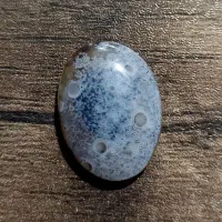 نگین شجر دریایی