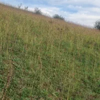 زمین-قطعات-300متری-روستای-خوش-اب-وهواوزیبا