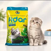 فیدار گربه بالغ