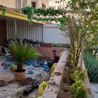 باغبانی درب منزل رسیدگی به باغچه وگلدون آپارتمانی|خدمات باغبانی و درختکاری|تهران, شهرک غرب|دیوار