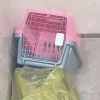 باکس پت به همراه پارک