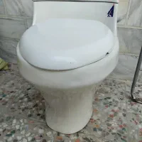 توالت فرهنگی