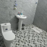 لوله کش عالیشهر گورکات بوشهر