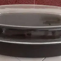 ماهیتابه مستطیل ماهی