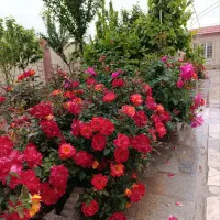 باغ ویلا در شاهنامه