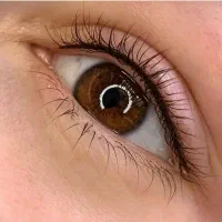 مدل میکروبلیدینگ( فیبروز تتو شیدینگ لب)|خدمات آرایشگری و زیبایی|شیراز, زرهی|دیوار