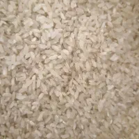 برنج کامفیروز