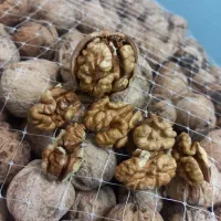 گر دو امسال پوست کاغذی  ۱۲۰ کیلو. کیلویی ۴۲۰تومان