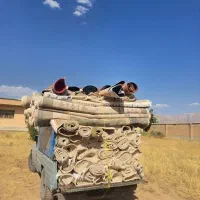 قالیشویی و مبل شویی نگین شهرکرد