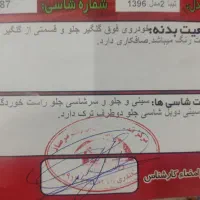 تیبا 2 مدل 96|خودرو سواری و وانت|فولادشهر, مسکن مهر فولادشهر|دیوار