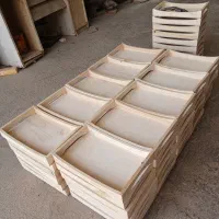 سینی مستطیلی.