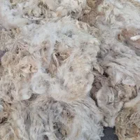 پشم گوسفند شسته نشده|رختخواب، بالش، پتو|مشگین شهر, |دیوار