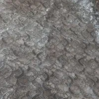 پارچه مجلسی ومعمولی