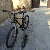 دوچرخه طره ویوا