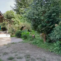 اجاره شبانه