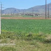 فروش زمین کشاورزی صنعتی|فروش دفتر صنعتی، کشاورزی، تجاری|صائین قلعه, |دیوار