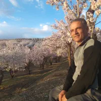 باغستان مثمر بادام|فروش دفتر صنعتی، کشاورزی، تجاری|زاینده رود, |دیوار