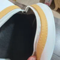 کیف کوله دخترونه و کیف دوشی زنانه|کیف، کفش، کمربند|رشت, فلسطین|دیوار