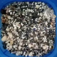 آکواریوم|ماهی|شاهرود, |دیوار