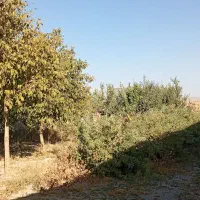 زمین چهار دیواری