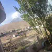 ویلا در پلور ( ۵۰۰ متر زمین ) ۲۵۰ متر بنا|فروش خانه و ویلا|رینه, |دیوار