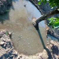 اجاره زمین برای کشت